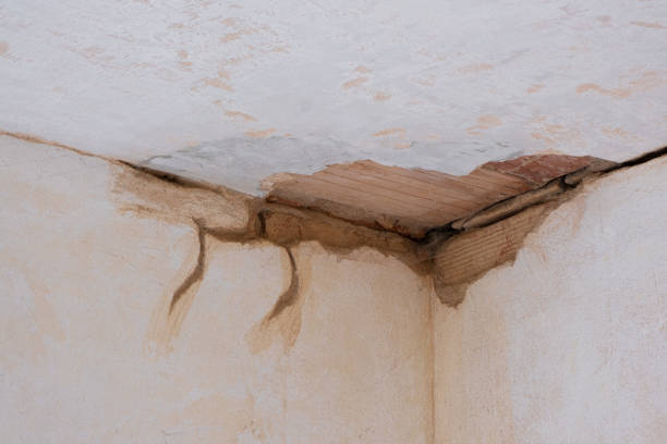 Best Basement water damage restoration  in Epworth, IA