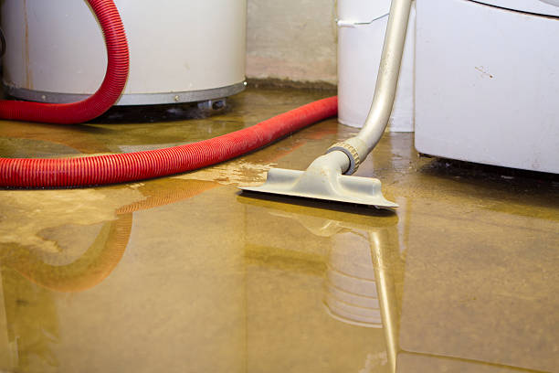 Best Water damage restoration experts  in Epworth, IA