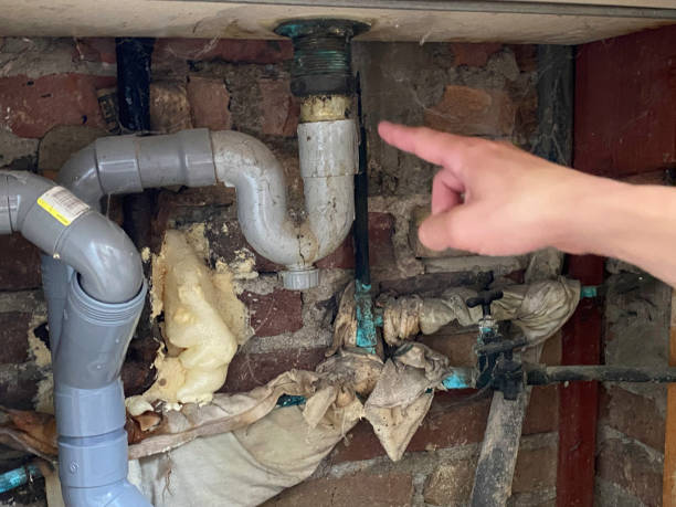 Best Water damage restoration experts  in Epworth, IA